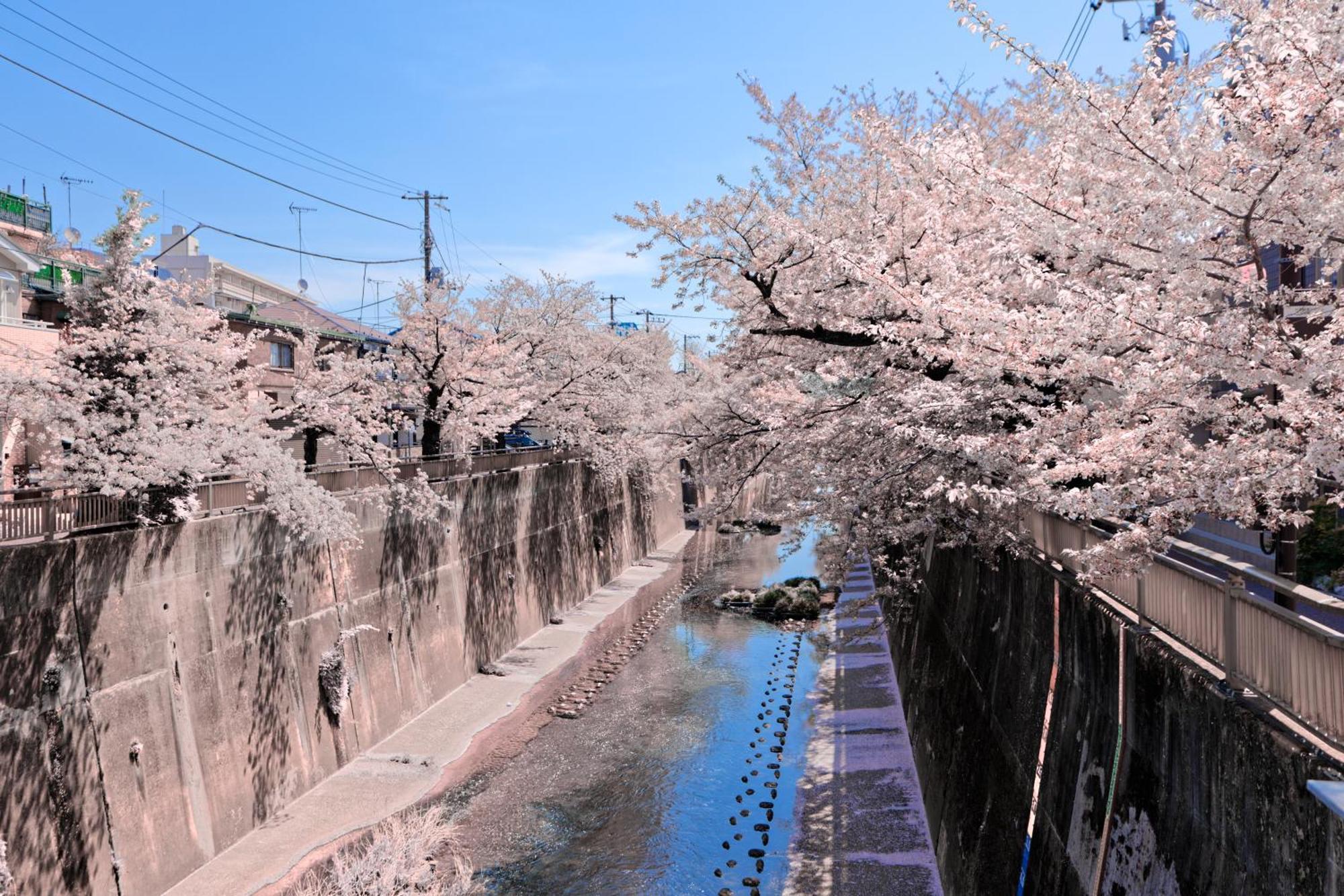 Calm Riverside Inn Close To Ikebukuro Tóquio Exterior foto